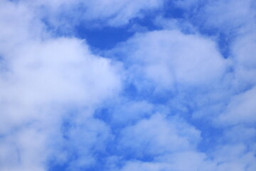 Wall Mural - White clouds in a blue bright sky.