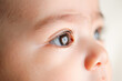 © romanets_v - Close-up of a young caucasian child's eye with reflections and soft focus