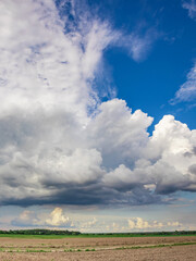 Wall Mural - cloudy sky with a few clouds in the distance