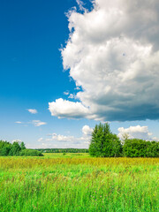 Wall Mural - a field of grass with a large cloud in the sky