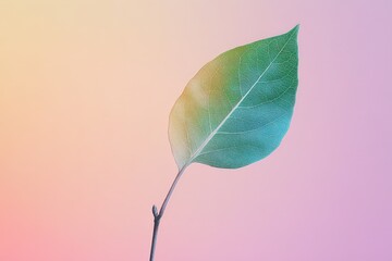 Wall Mural - a single leaf on a small stem against a colored background