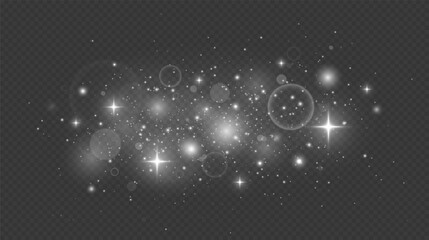 Wall Mural - magic particles of dust. christmas abstract stylish light effect.