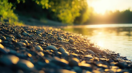 Wall Mural - golden hour riverbank pebbles shore sunlight scenic landscape photography