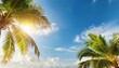 © Lucas - copy space of tropical palm tree with sun light on sky background