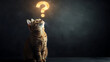 © adam - Curious ginger cat contemplates a question mark above its head