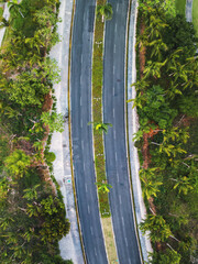 Wall Mural - aerial view driving tropical road with palm tree jungle, caribbean island vacation asphalt highway