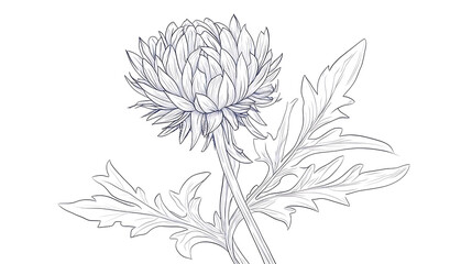 Poster - Elegant line drawing of a scottish thistle, illustration for invites and cards