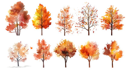 Poster - Set of watercolor autumn trees on a white background