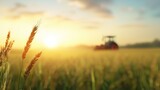 Ultra realistic soybean field with a tractor in the blurred background at sunset