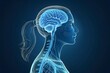 © Samoresh - 3D medical illustration of a human female head and neck in a side profile view, highlighting the brain and brainstem.