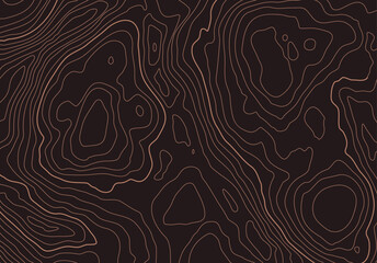 Leinwandbilder - Topographic map background with altitude lines. Abstract terrain topography with elevation levels of the relief