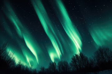 Wall Mural - a beautiful night sky with a green aurora. the aurora is a natural phenomenon that occurs when charg