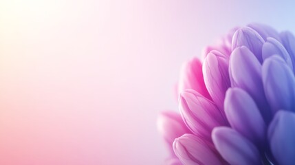 Poster - Delicate hyacinth bloom features soft purples and blues in a watercolor style, ideal for botanical themes, with ample empty space to accommodate text
