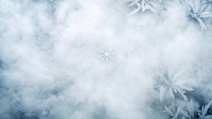 Poster - Close-up view of a snowflake on frozen ground with frosted plants. Soft lighting emphasizes the intricate details of the ice crystal against the cold backdrop