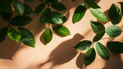 leaf, plant, leaves, nature, tree, branch, foliage, pattern, spring, summer, vector, flower, green, closeup, garden, lime, design, isolated, food, illustration, growth, herb, botany, freshness