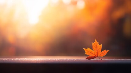 Poster - A single golden-orange leaf rests on a dewy park bench amidst a blurred backdrop of soft autumn hues, with sunlight gently filtering through trees