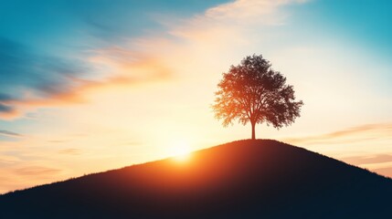 Poster - A solitary tree stands proudly atop a hill as the sun sets, casting a warm glow that envelops the landscape in tranquility and beauty