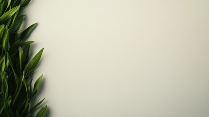 Fototapete - A patch of lush green grass fills the frame, highlighting natural freshness and life against a soft white backdrop, creating a serene visual appeal