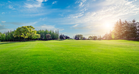 vibrant green lawn and trees natural landscape in summer