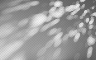 Wall Mural - abstract shadow overlay from foliage on a transparent background.