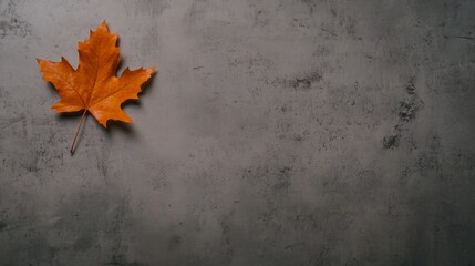 Leinwandbilder - A single orange maple leaf rests on a textured gray concrete surface, casting soft shadows that enhance depth, leaving space for text on the left side