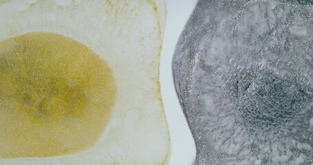 Wall Mural - gold and silver alcohol ink drops creating a stunning abstract chemical reaction, mixing and swirlin