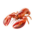 © InspireImagery  - A Lobster Isolated on transparent background, png