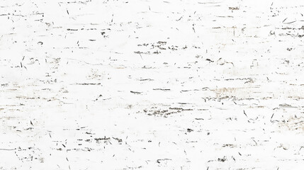 Wall Mural - abstract texture dust particle and dust grain on white black and white grunge urban texture vector w