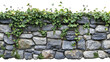 © Sawitree - stone wall with green ivy growing on top creates natural, rustic look