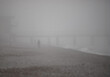 © Prikhodko - A blurry image of a person walking on a beach with foggy weather