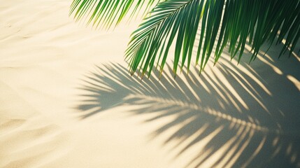 Wall Mural - serene tropical palm leaves casting delicate shadows on a soft, warm sandy background, creating a mi
