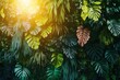 © Khatyjay - Lush green foliage with various tropical leaves illuminated by warm sunlight in a serene environment