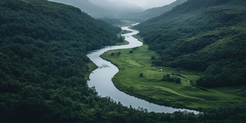 Poster - Aerial view of a meandering river winding through lush green forests and valleys under an overcast sky creates serene landscape scene