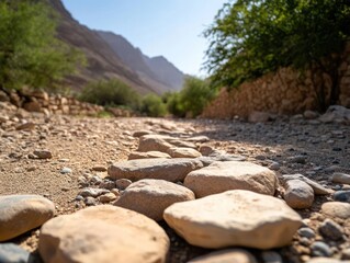 Poster - A dry riverbed with numerous stones and pebbles framed by arid mountains and sparse greenery under a bright sky