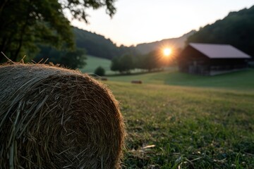 Poster - Sunrise illuminates a hay bale in a vibrant green field a rustic building sits in the background nestled among trees with sunlight streaming through