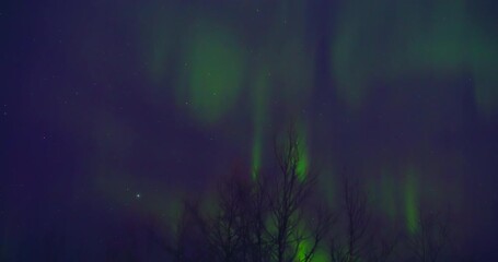Wall Mural - aurora borealis, polar lights with milky way stars. timelapse video.