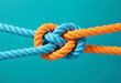 © Pankaj - rope knot together partnership concept