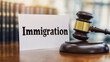 © AiDesign - Immigration migration family attorney civil law litigation concept with judge gavel and law books on background