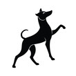© Anondo - silhouette of a dog