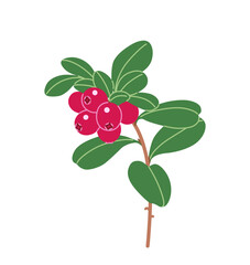 Wall Mural - Lingonberry Branch with Red Berries and Leaves