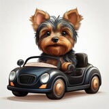 Yorkshire Terrier fährt Auto