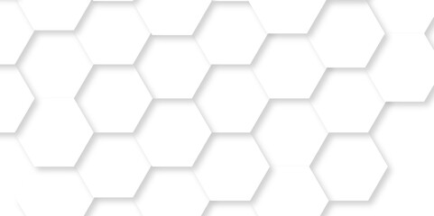 Minimalistic abstract background with hexagonal lines in light. abstract geometric science technology with template background. Modern white hexagon futuristic wallpaper. Hexagon mesh cell texture.	