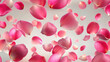 © Irina - Delicate pink rose petals falling against a soft background