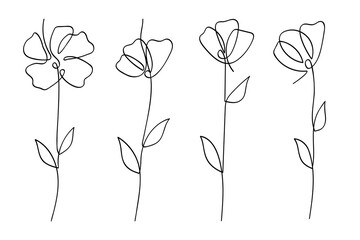 Poster - Hand drawn single line art flowers botanical collection.