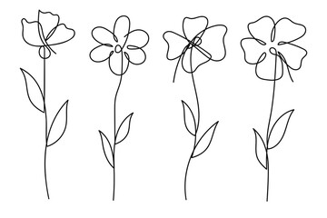 Poster - Single line art vector flower illustration collection.One continuous line art.Flowers collection
