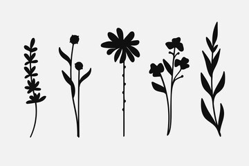 Silhouette Leaves branch and floral plants element set.
