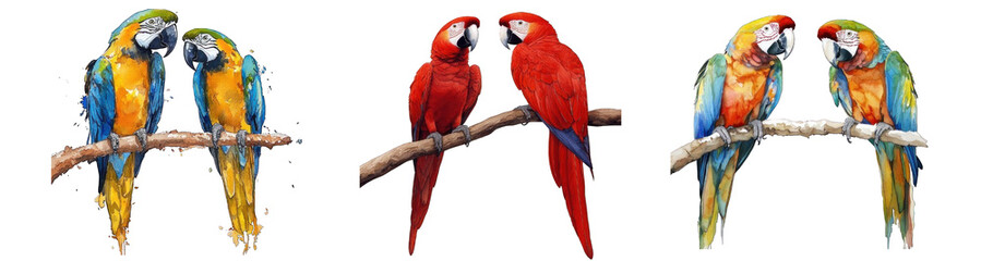 Naklejka na meble Collection of PNG. Watercolor Painting of a Pair of Macow, isolated on a transparency background.