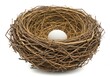 © Laki - Bird s nest intricately woven