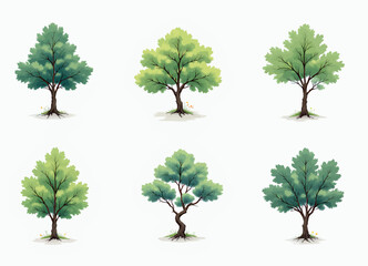six green leafy trees on white background