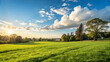 © kanjana - Stunning Sunset over Lush Green Field Vibrant Nature Landscape Photography